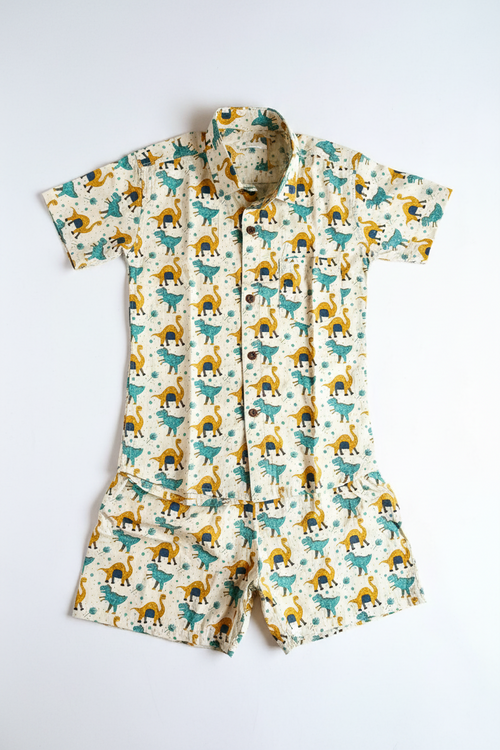 Dilkari Tiny Dino Trails Cotton Co-ord Set