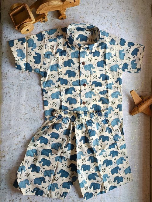 Dreamy Elephant Safari Co-ord Set