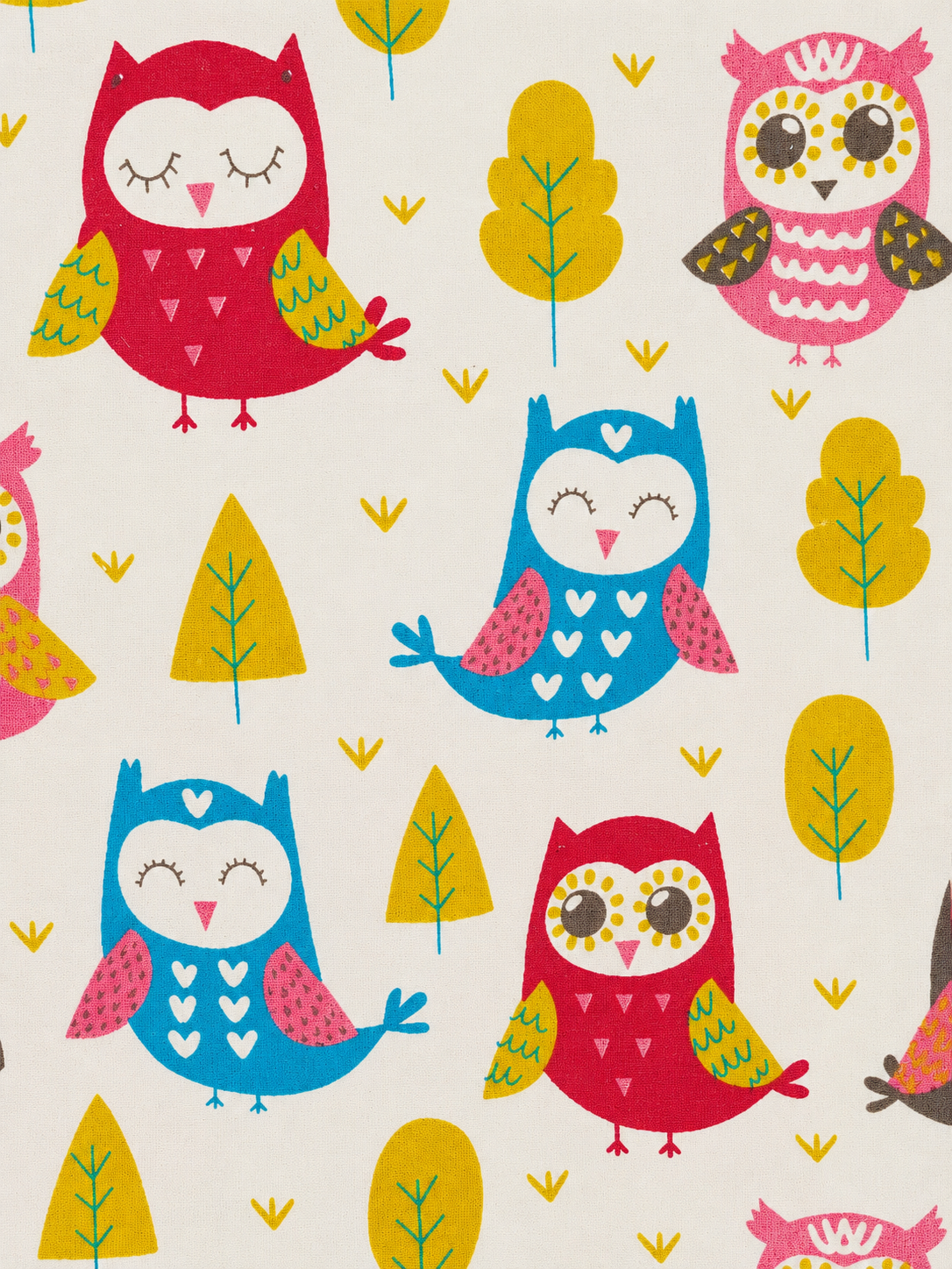 Hoot Hoot Friends Cotton Shirt