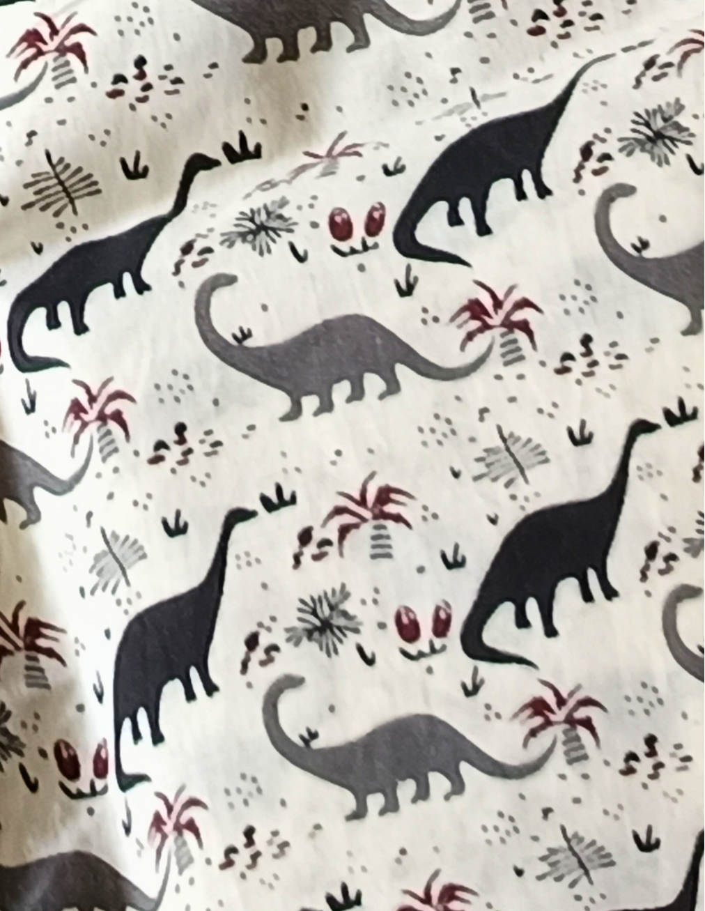 Dinosaurs
